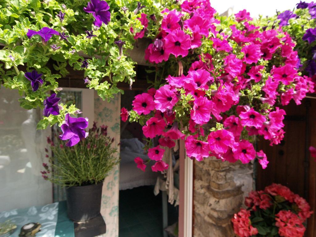 Le Petit Chateau Bed & Breakfast Dolceacqua Eksteriør bilde
